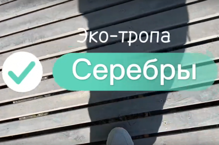 Обложка новости